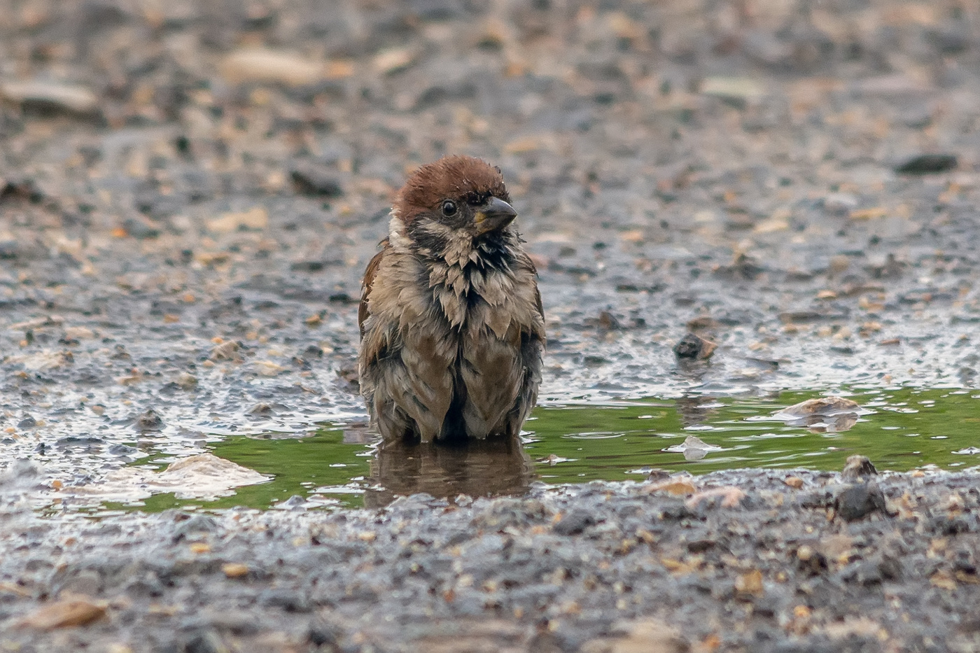 задумался...