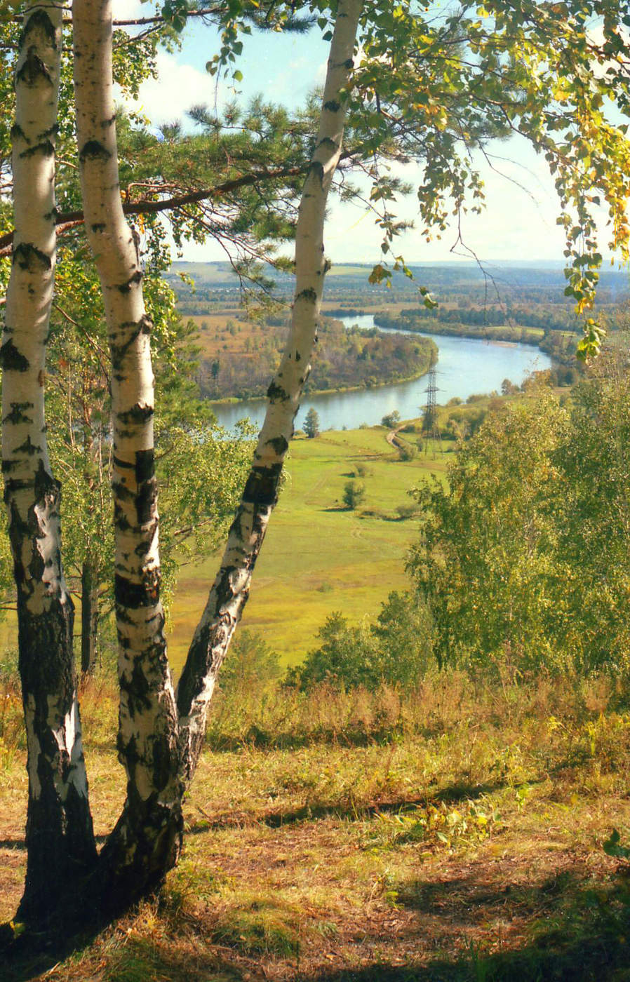 В пойме Иркута