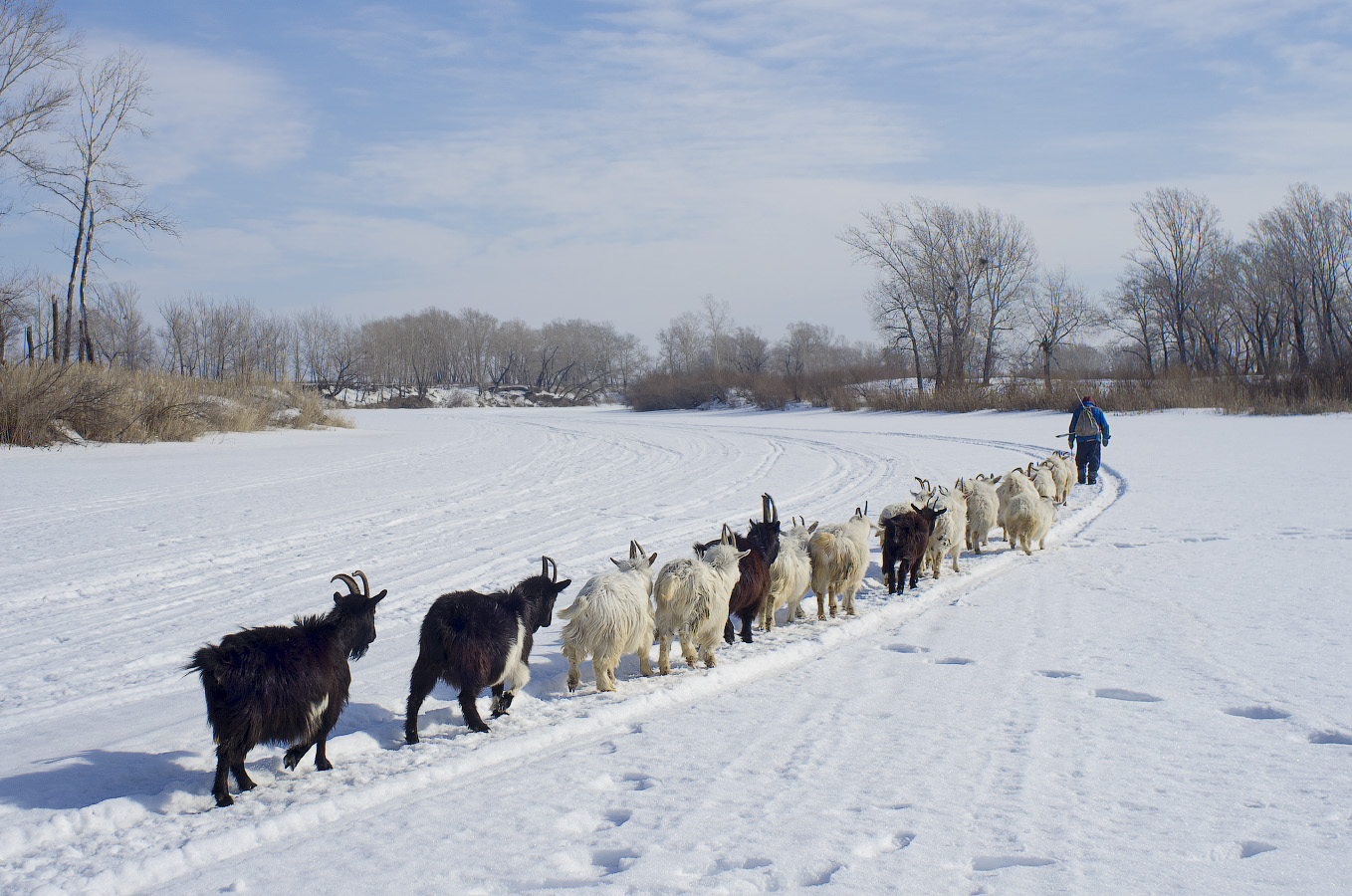 на дальний кардон. )