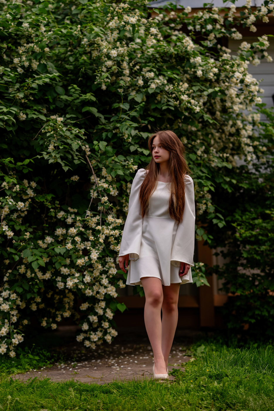 В листьях белого жасмина