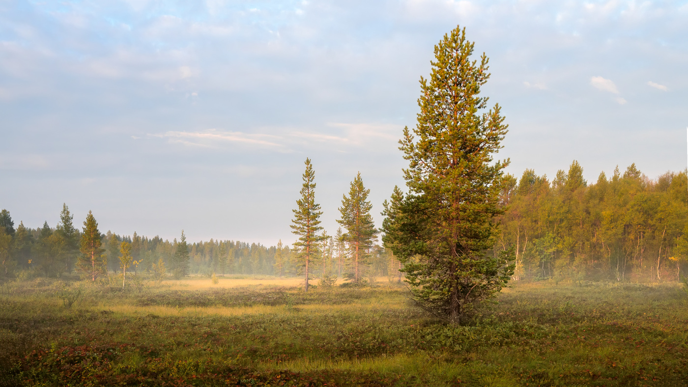 На излёте лета