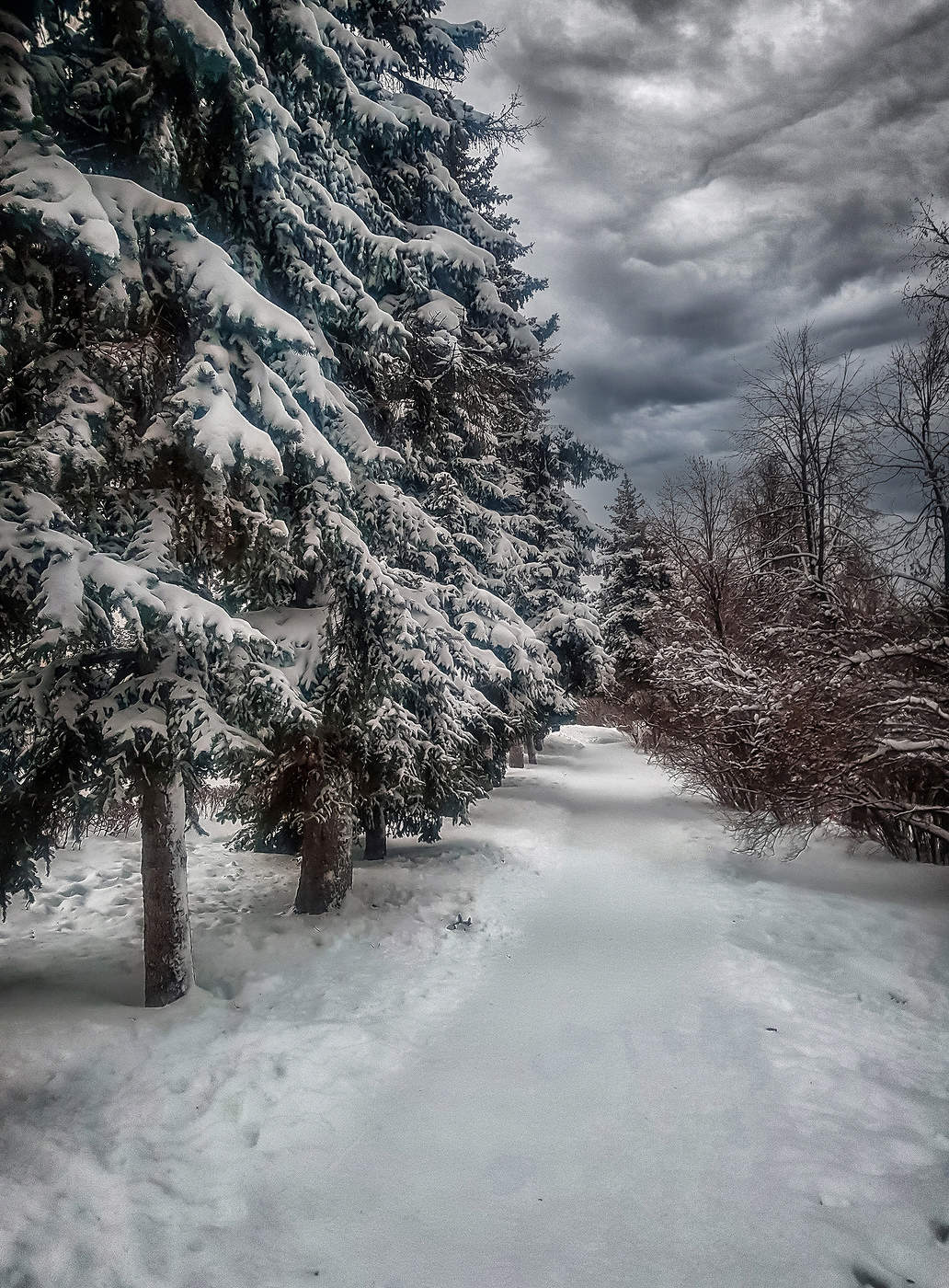 "Зимний вечер."