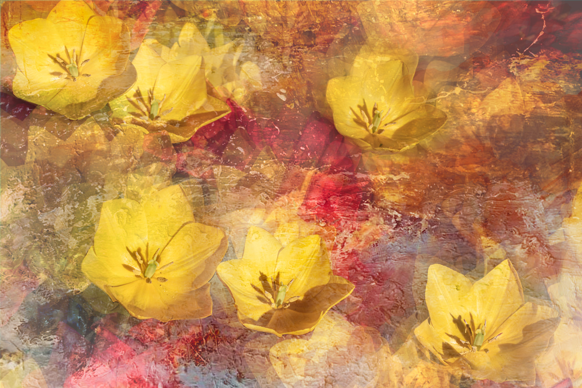 Весенние тюльпаны