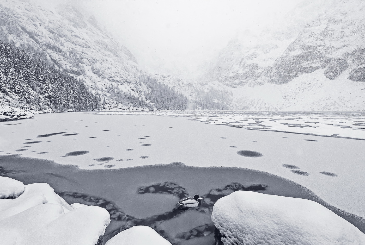 Озеро "Морске Око"