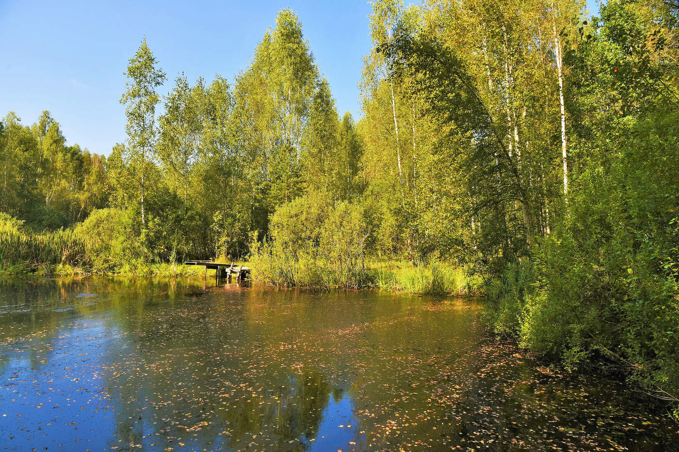Последние деньки лета ...