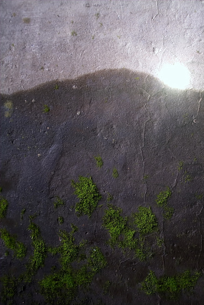 Необычный пейзаж.