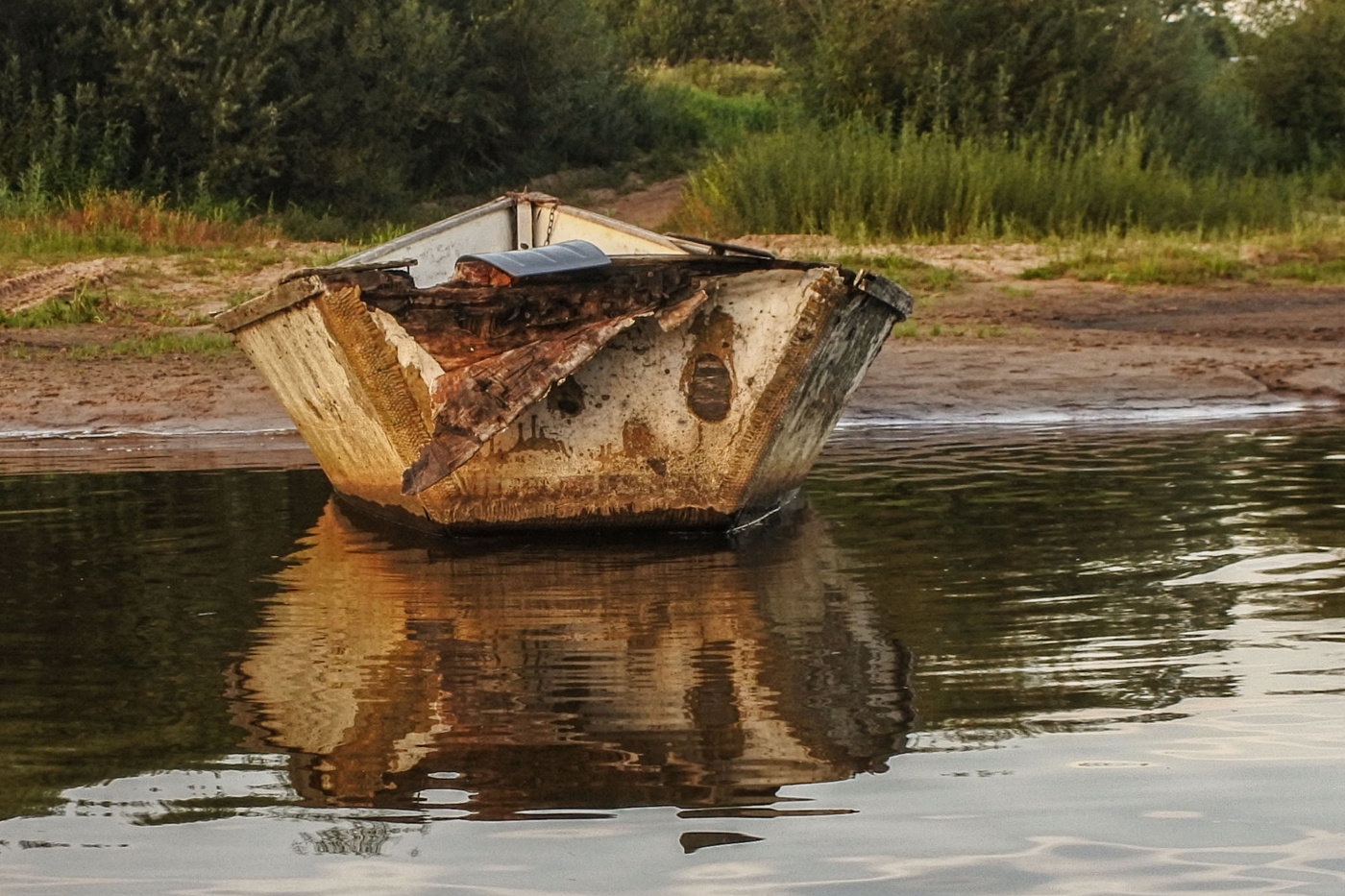 Жизнь вокруг