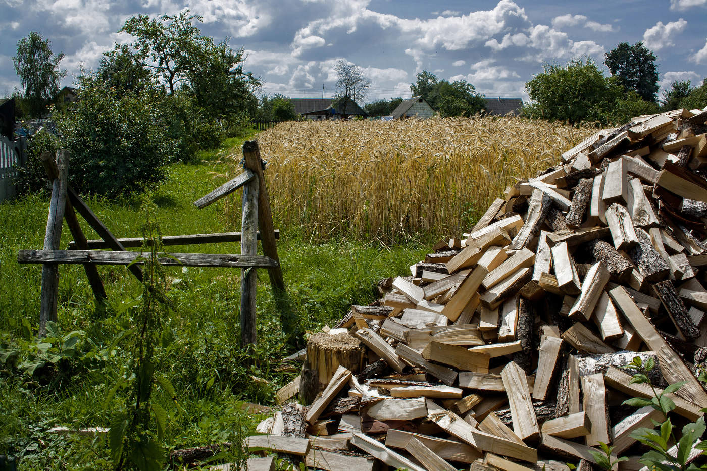 Насущные хлопоты.