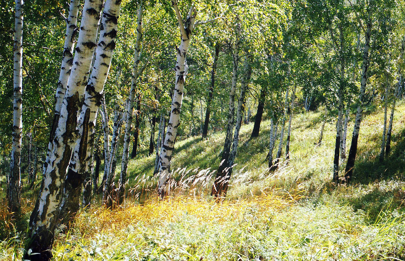 Уходит лето