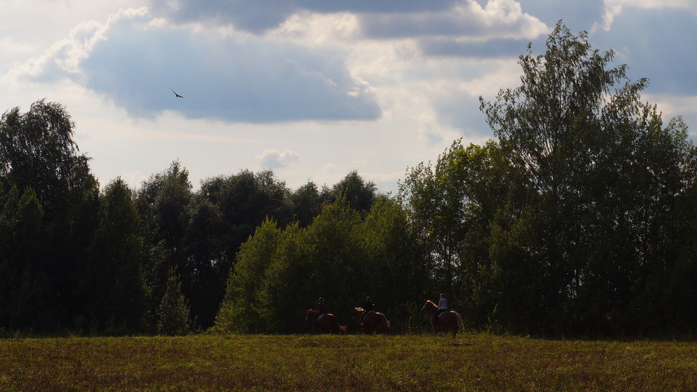 Три богатыря и чёрный ворон.