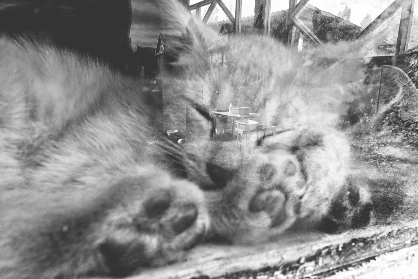 Жизнь вокруг