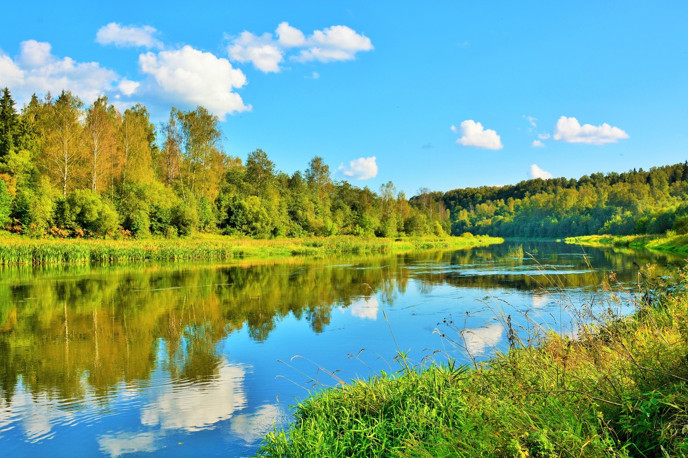 Вот и сентябрь наступил ...