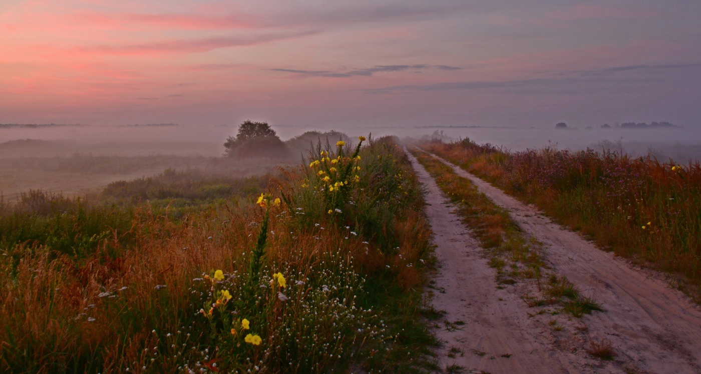 Туманная дорога...
