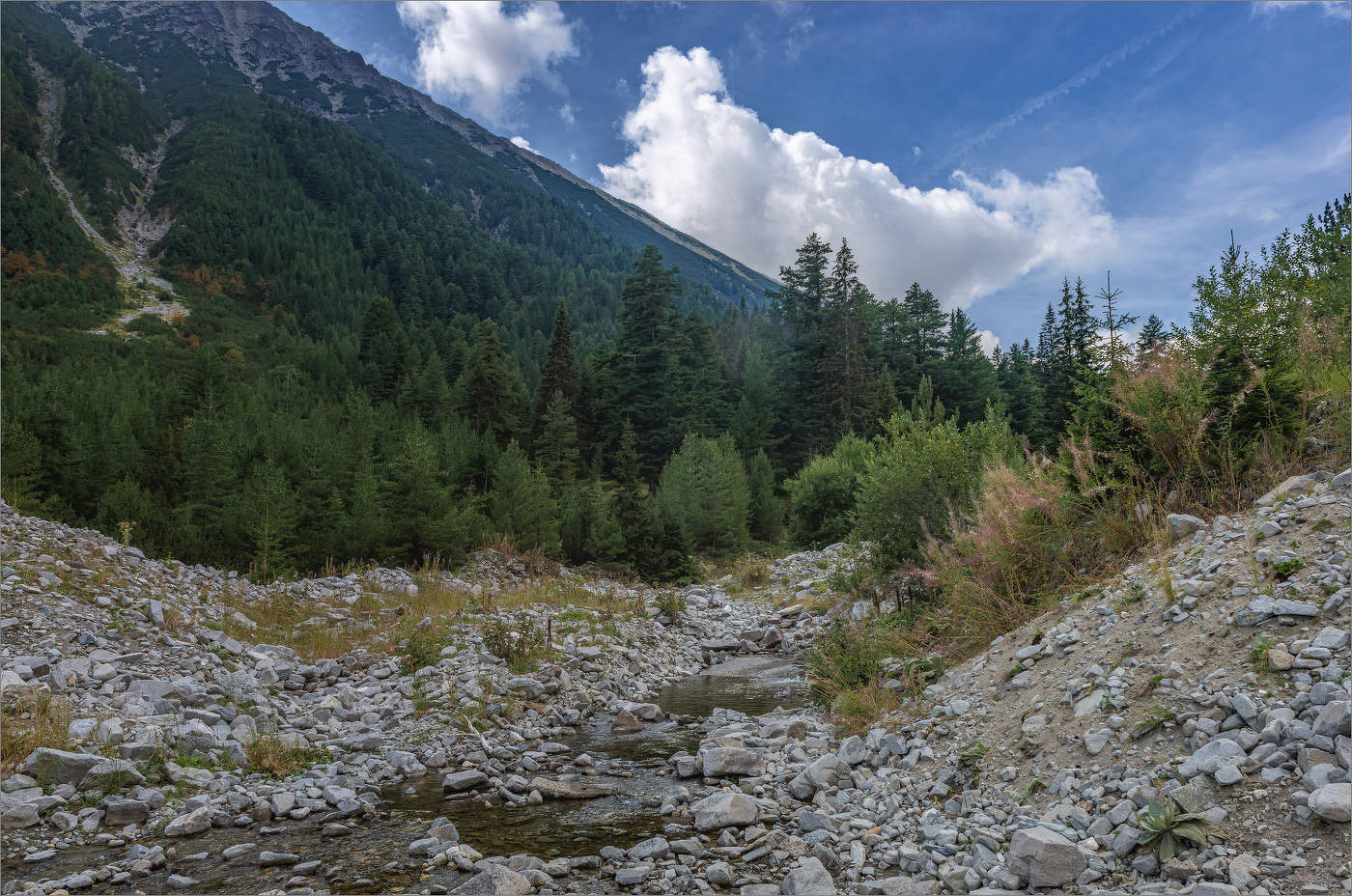 По дну реки