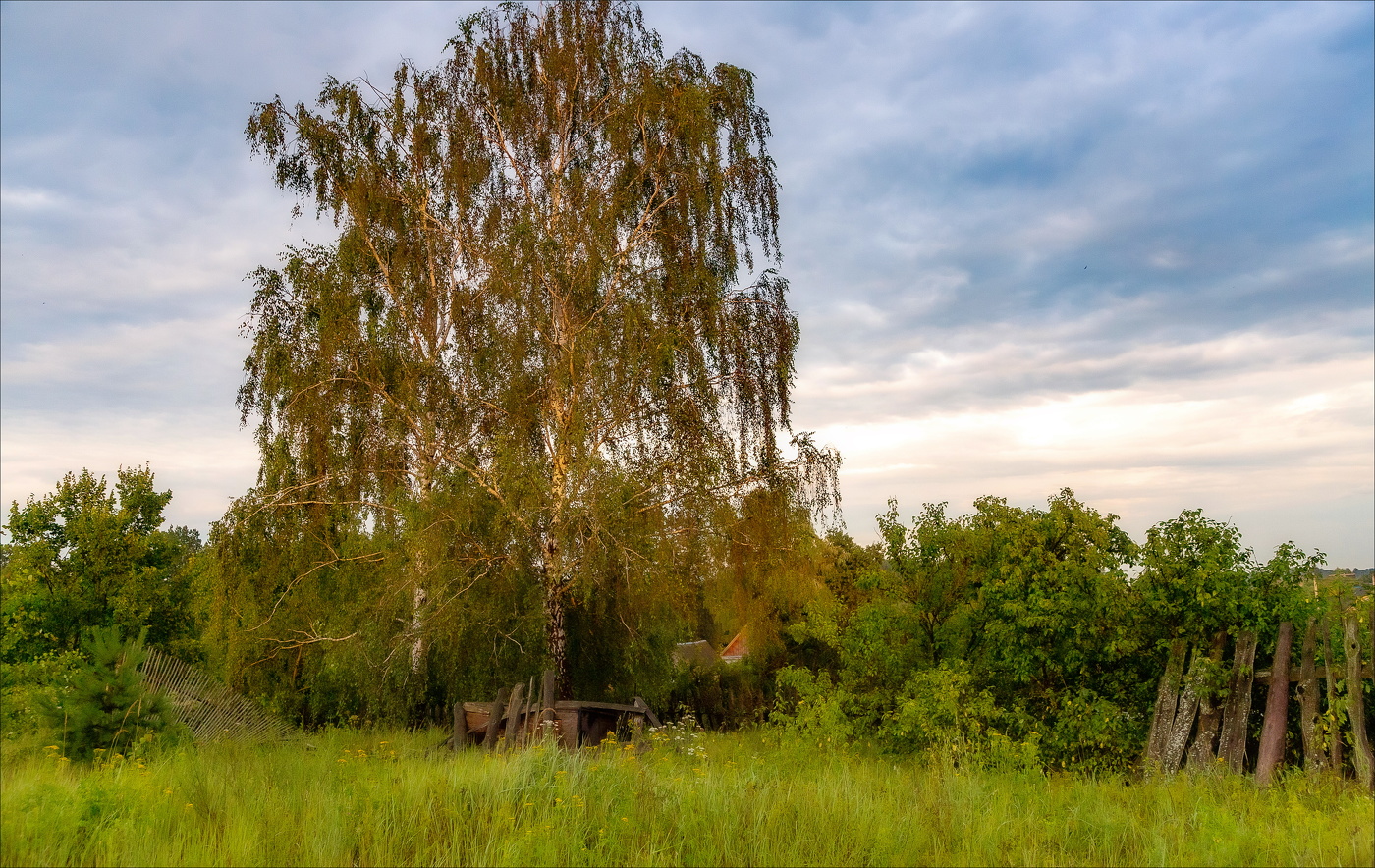 ДРЕМЛЕТ ВЕЧЕР ЗА СЕЛОМ