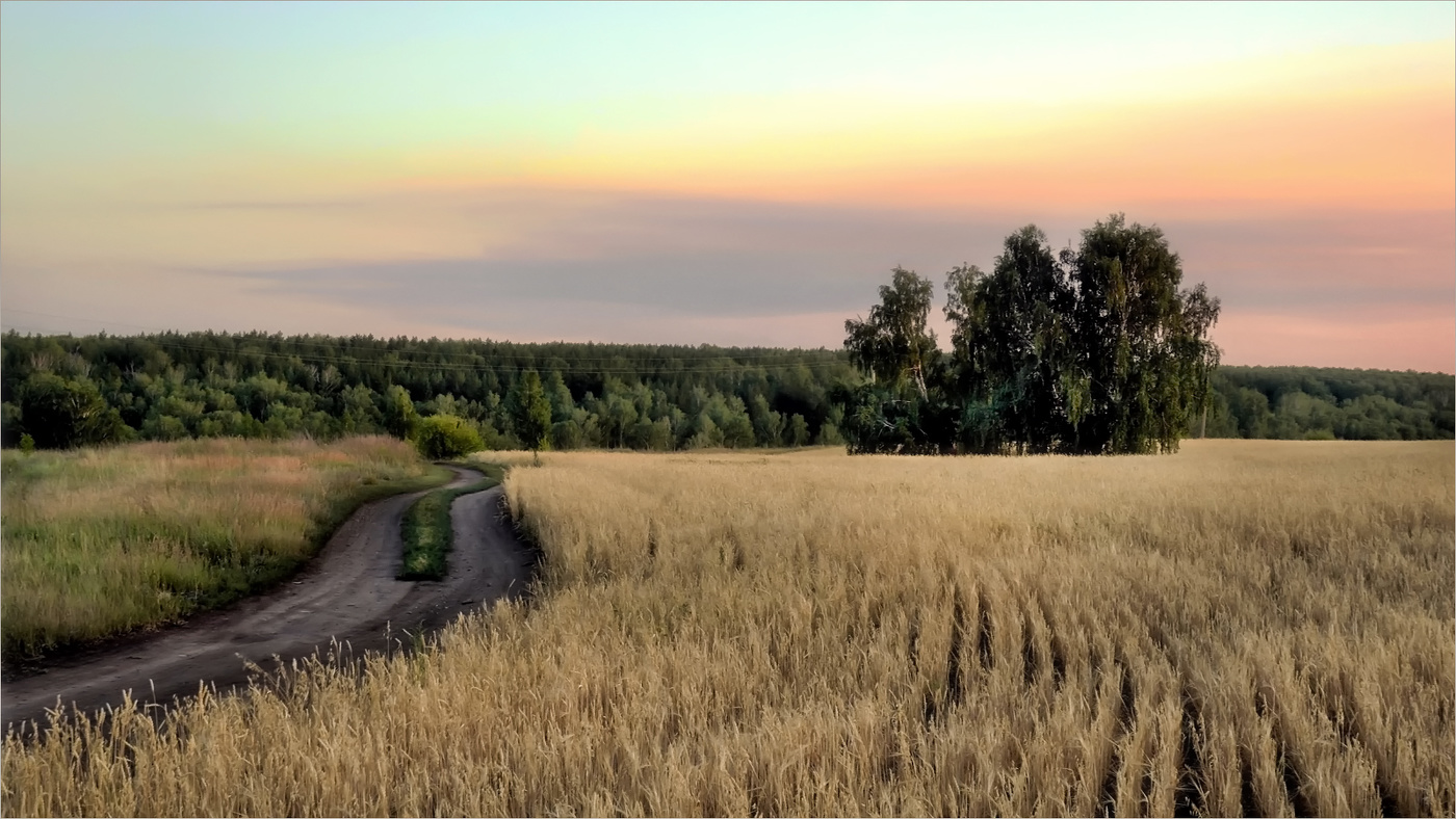 Вдоль зрелых полей...
