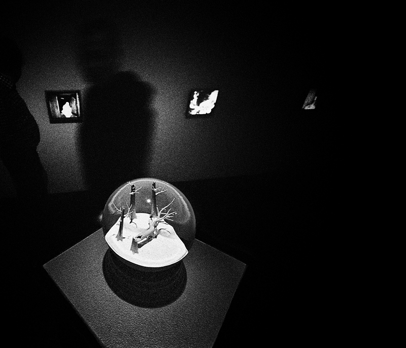 Мы все по жизни успеваем