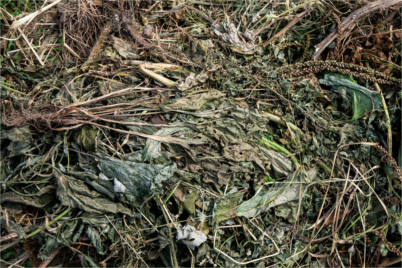 Гимнастика д