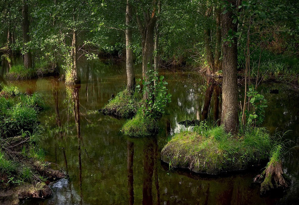 Уединённые.