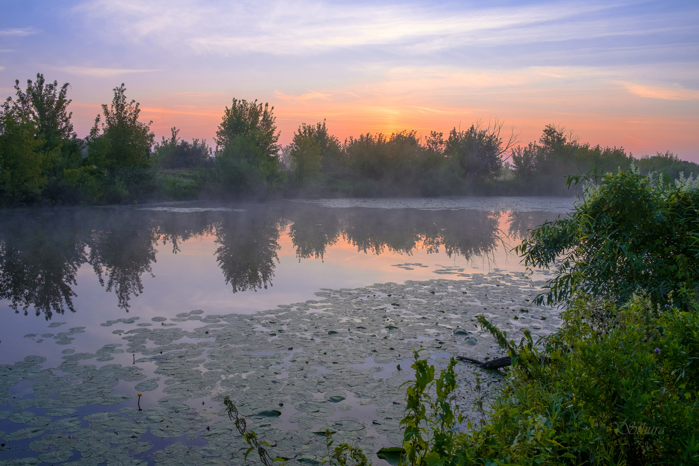На озере рассвет.