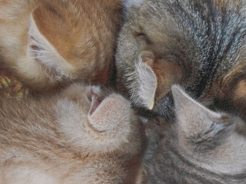 Жизнь вокруг