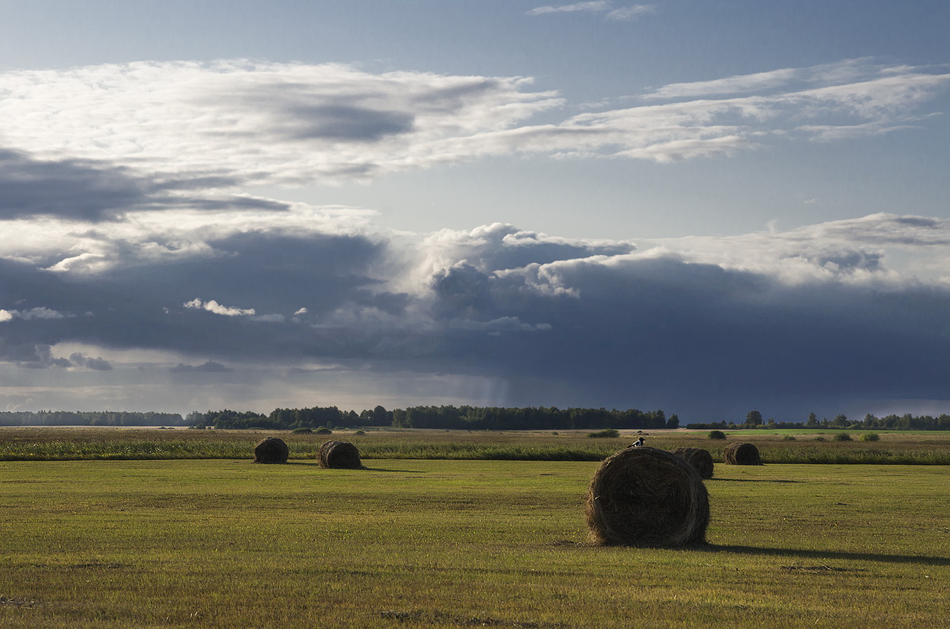 дальний дождь