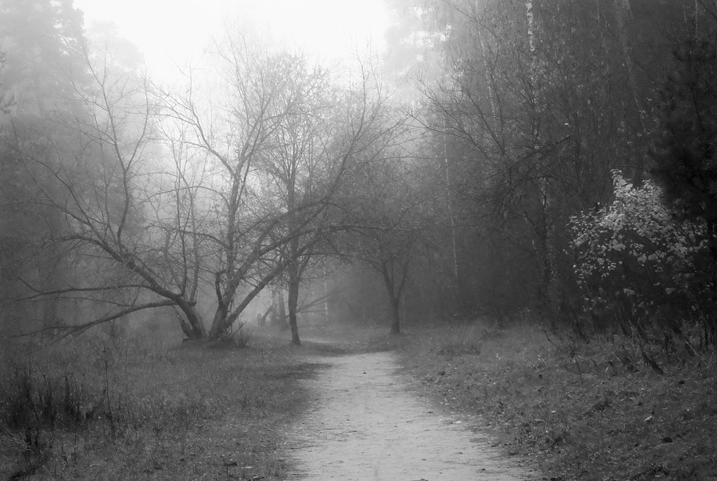 Октябрь хмурый по утру.