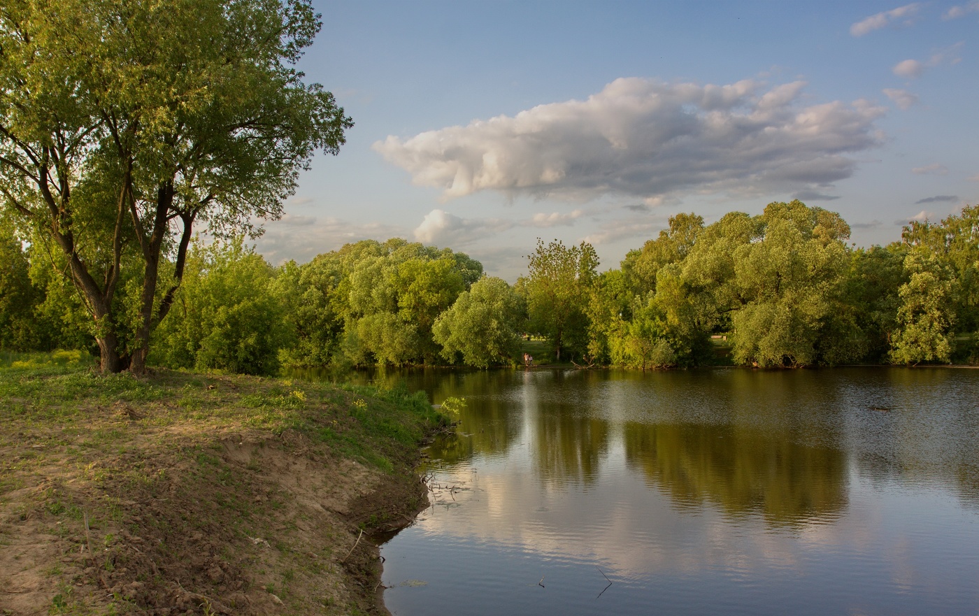 Тихий вечер
