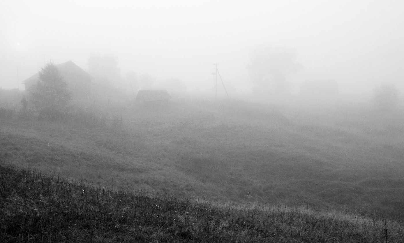 Туманное утро сентября ...