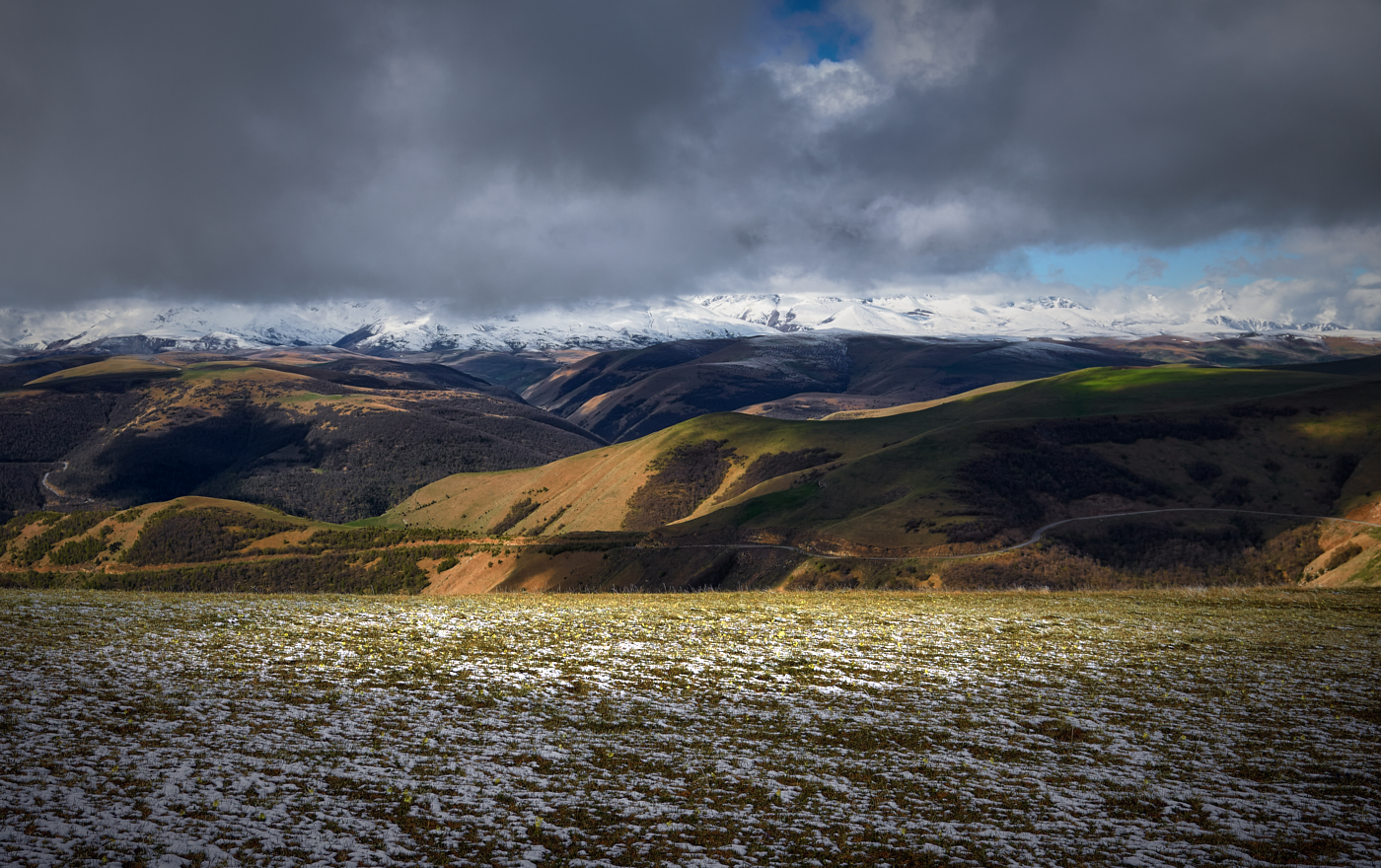 полосатый май
