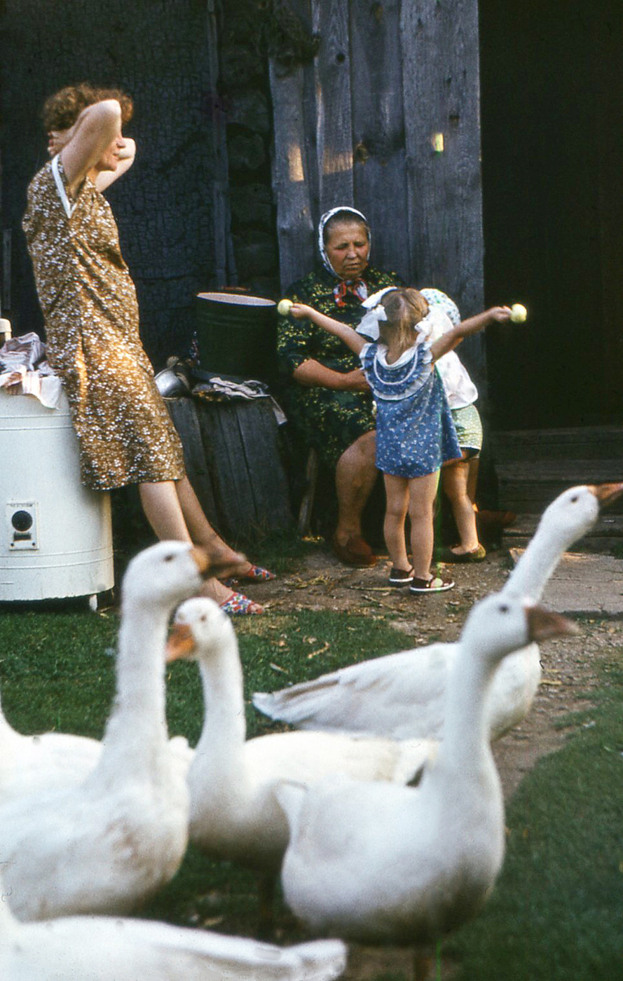 В гостях у бабушки