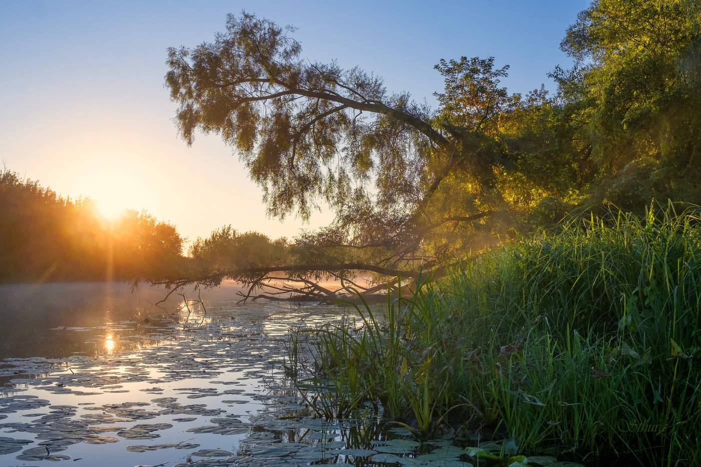 Осень. Сентябрь.