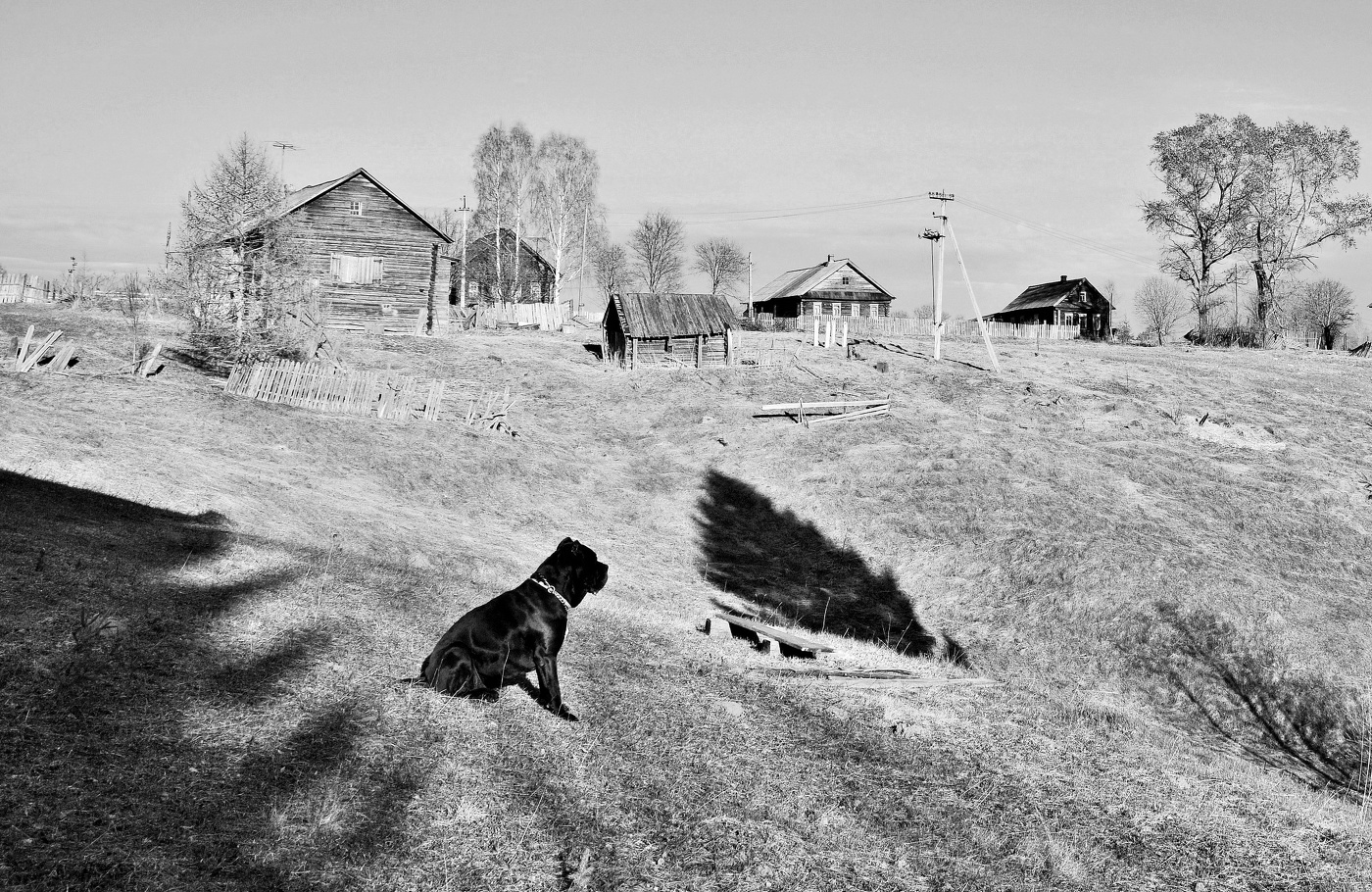 Медитирующий ...