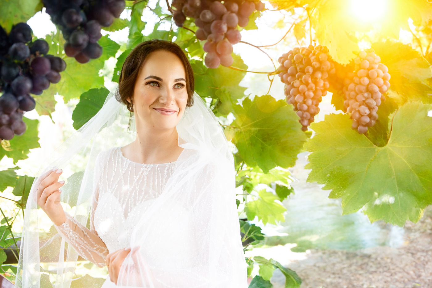 Невеста в винограднике
