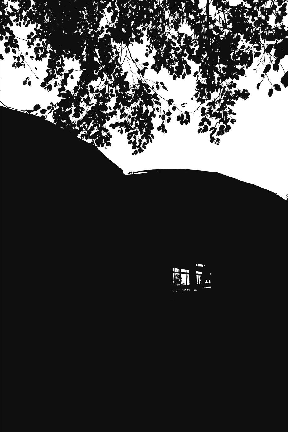 Жизнь вокруг