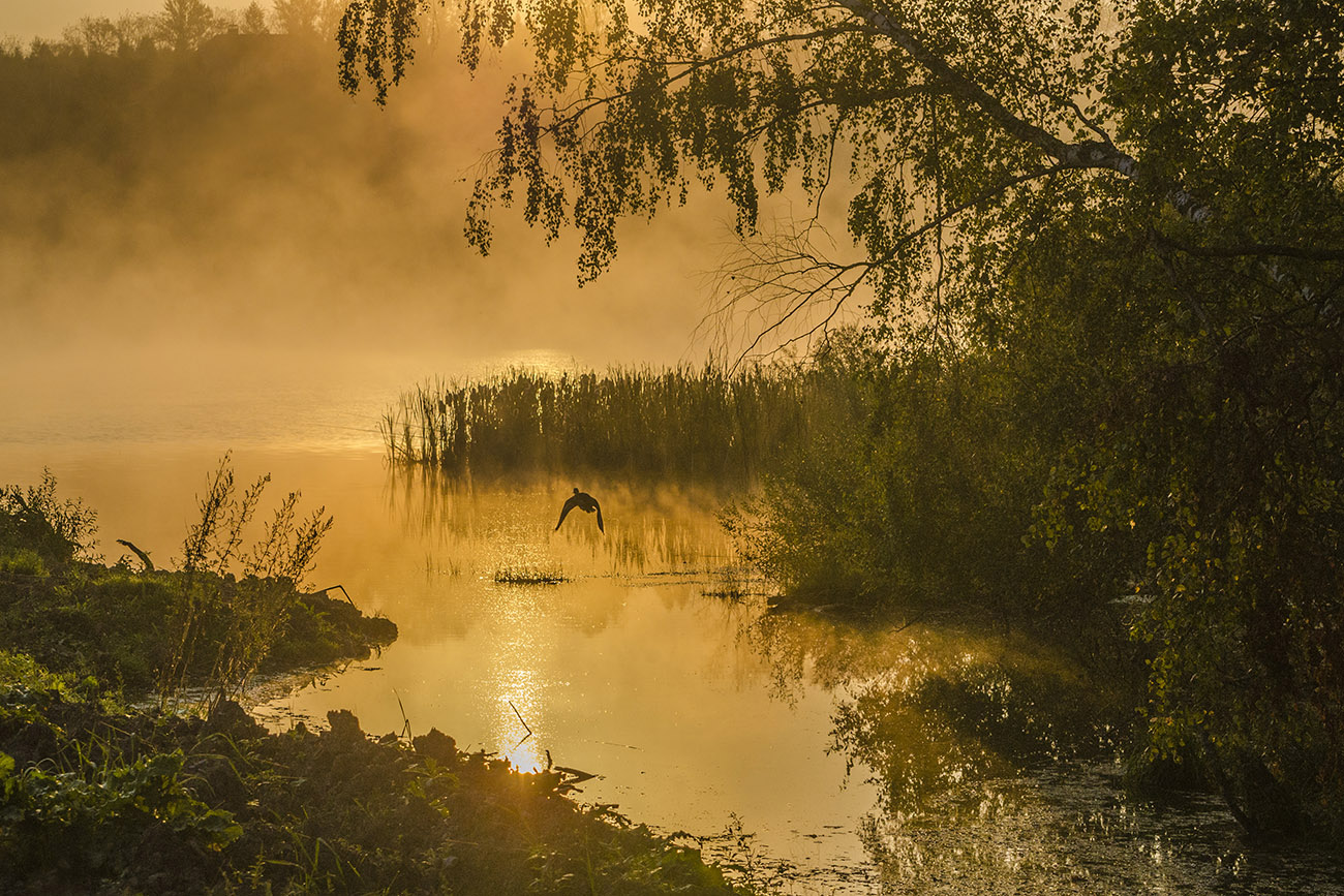 Туда, где ждёт рассвет