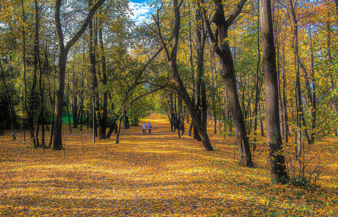 Осенний ковёр