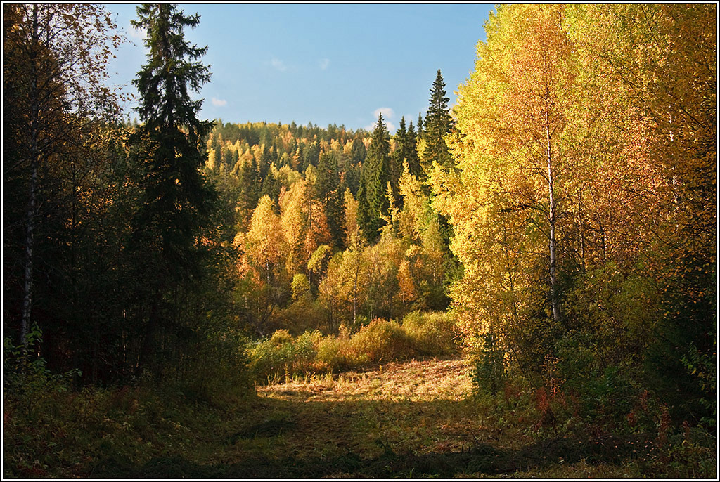 Золотой сентябрь.