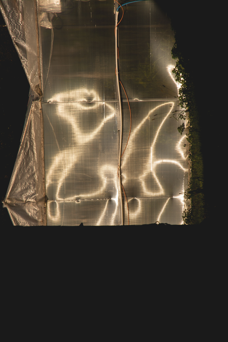 Жизнь вокруг