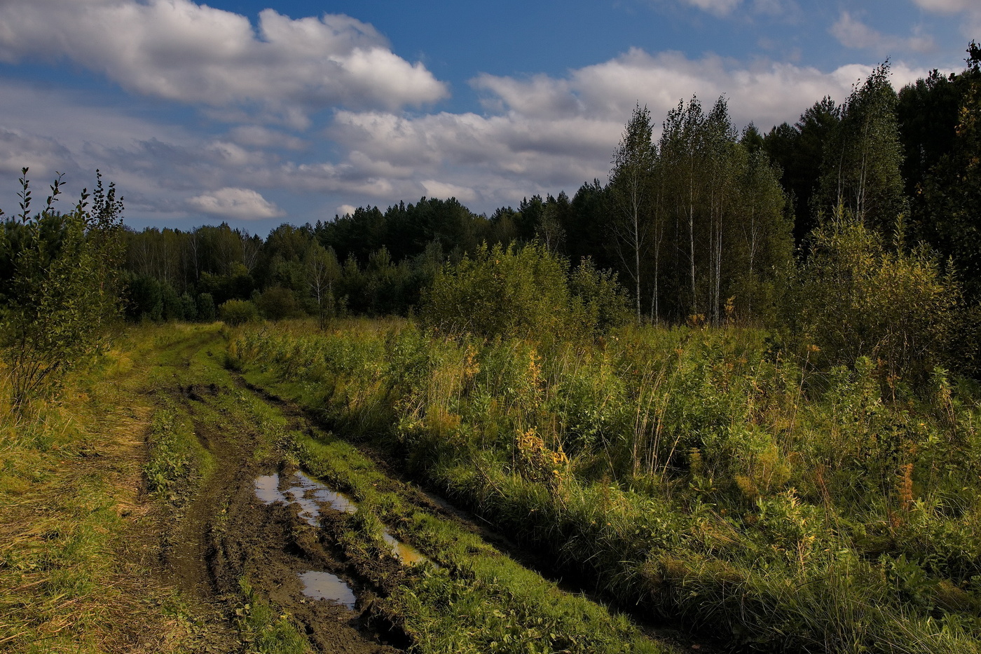 *Начало осени.**