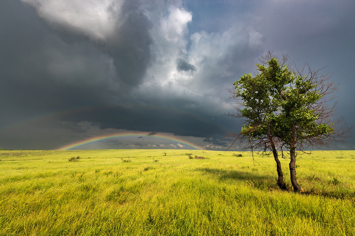 Там, за горизонтом