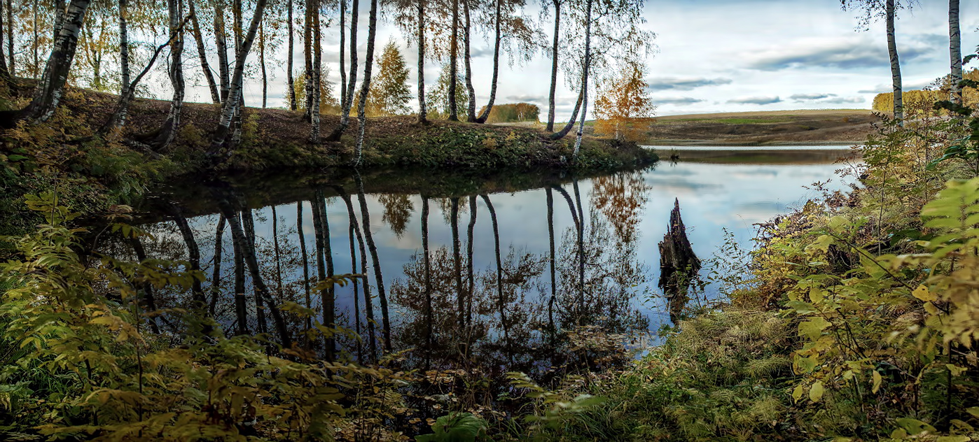 Хмурое утро осени.