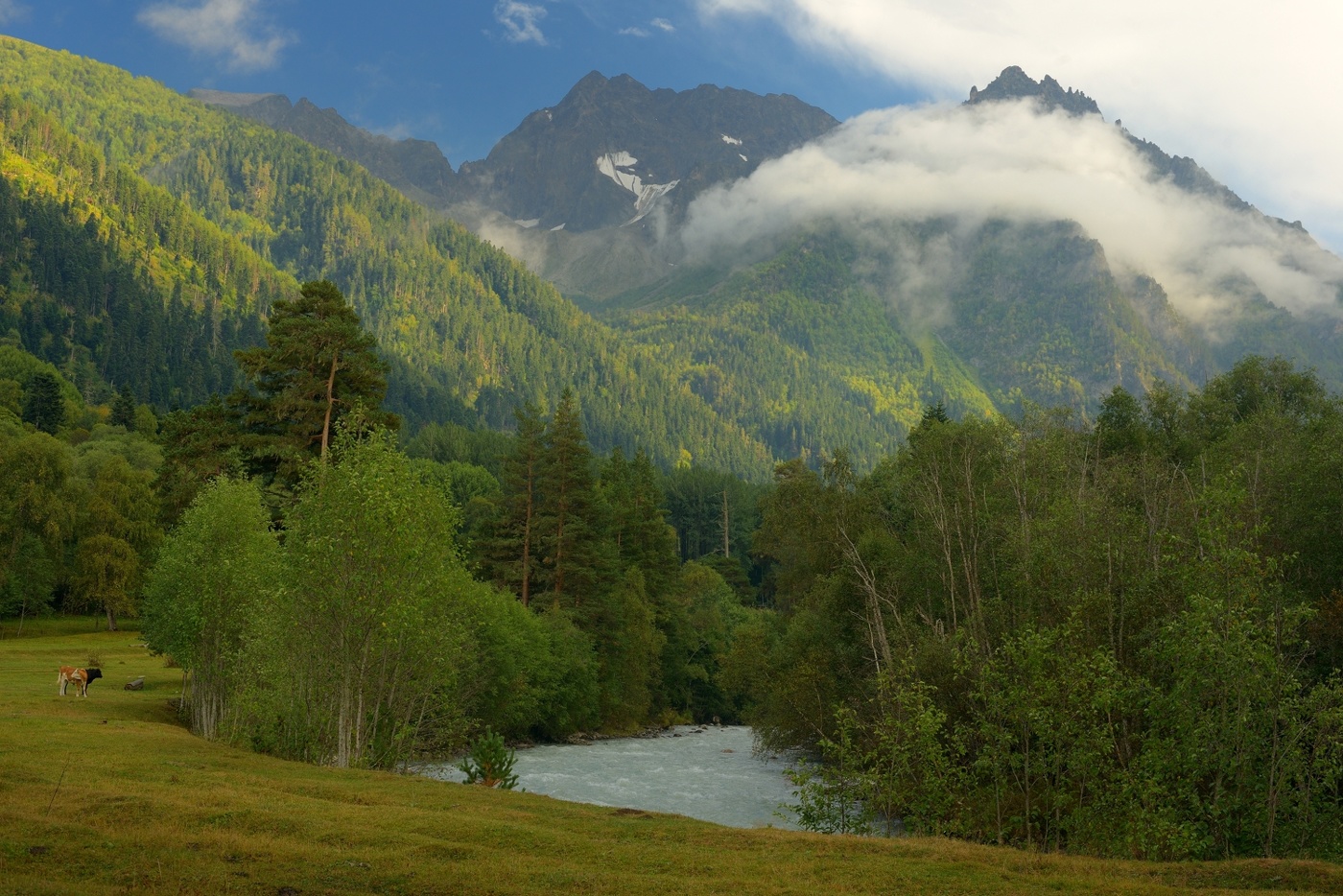 Приходит осень