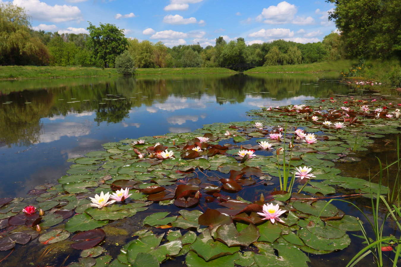 Райский уголок !!!