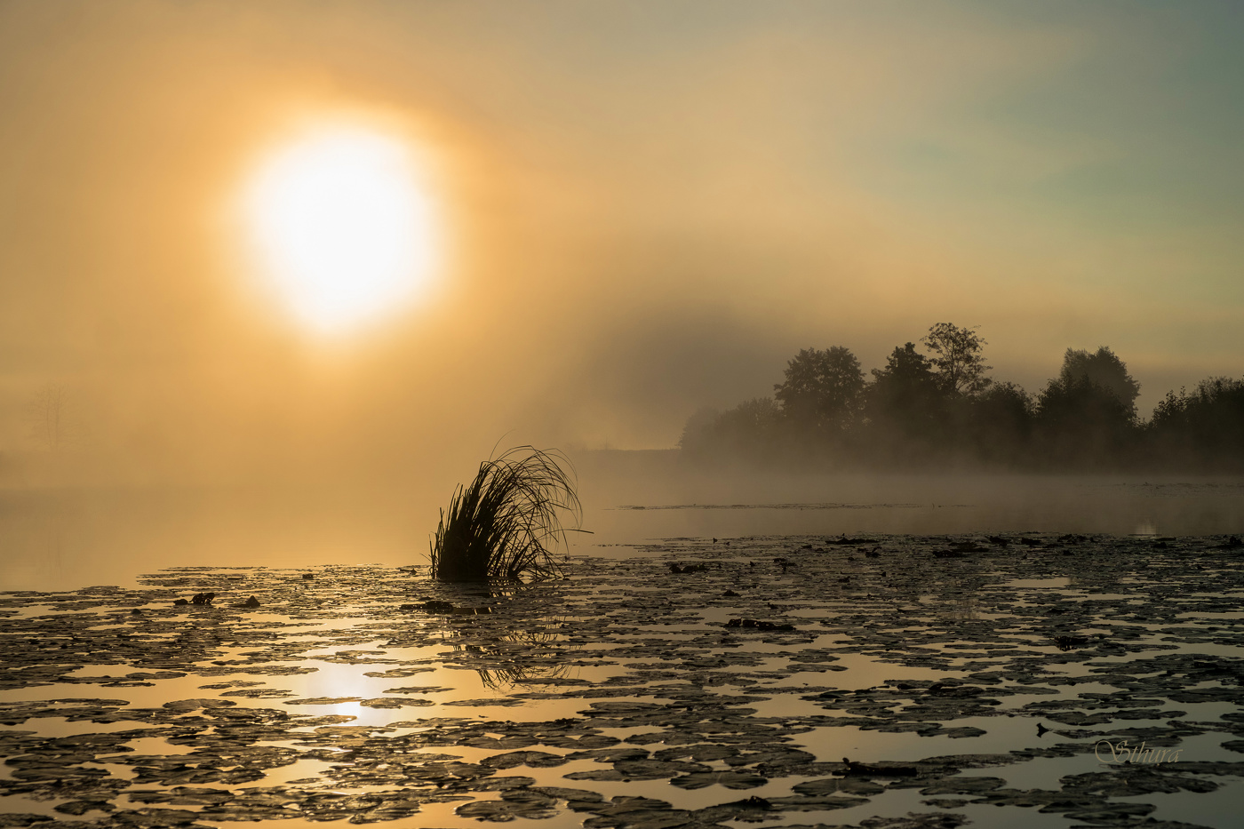 Туманы осени.