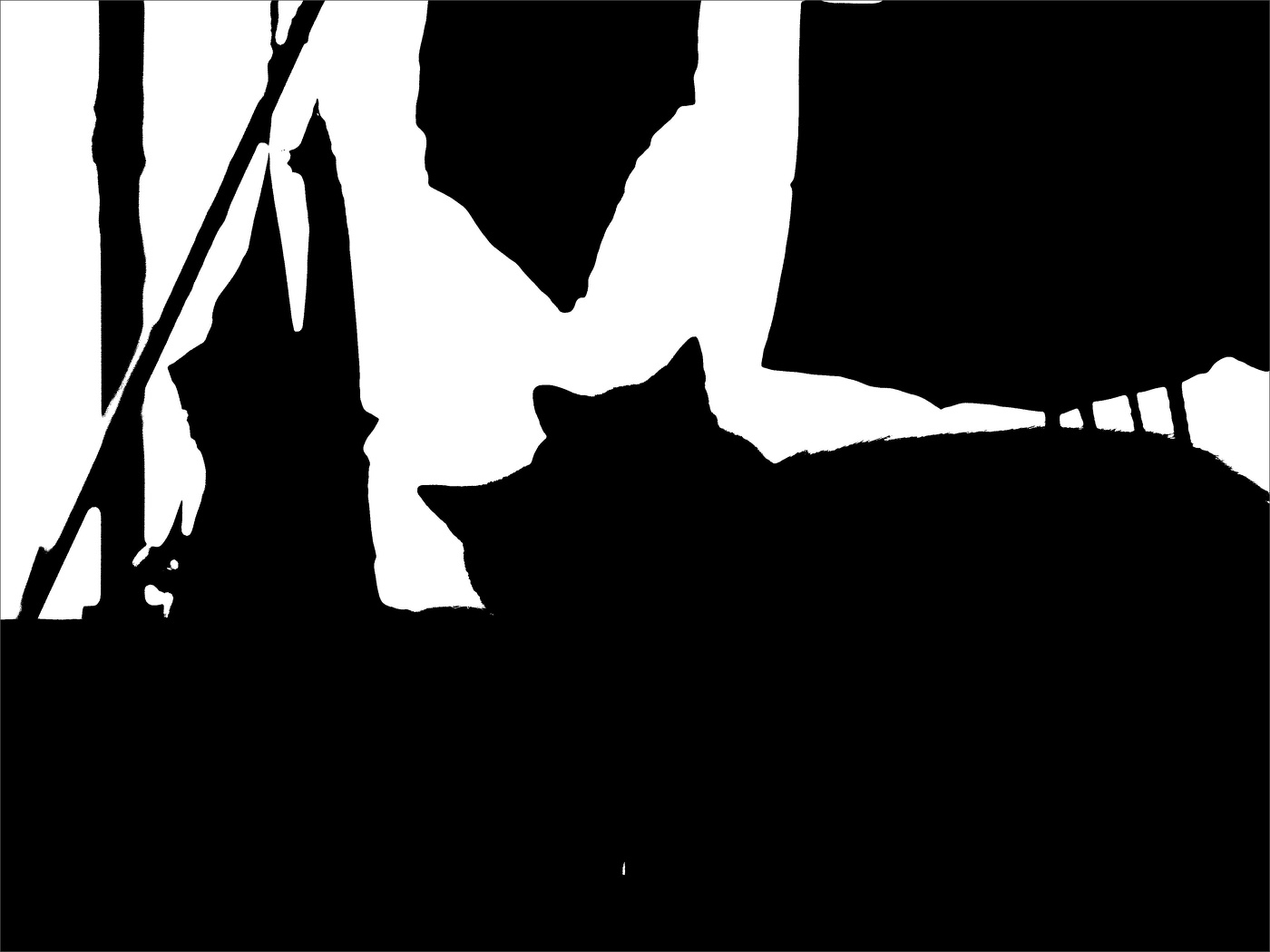 Жизнь вокруг