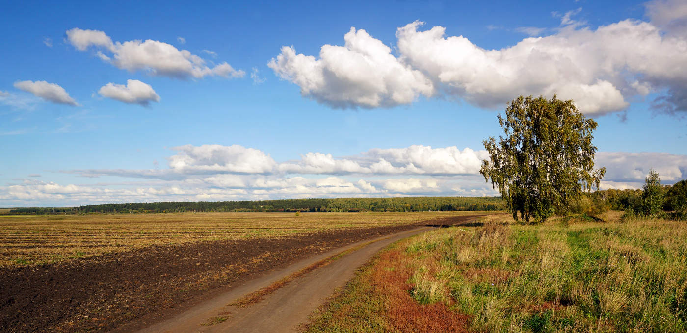 Дыхание осени
