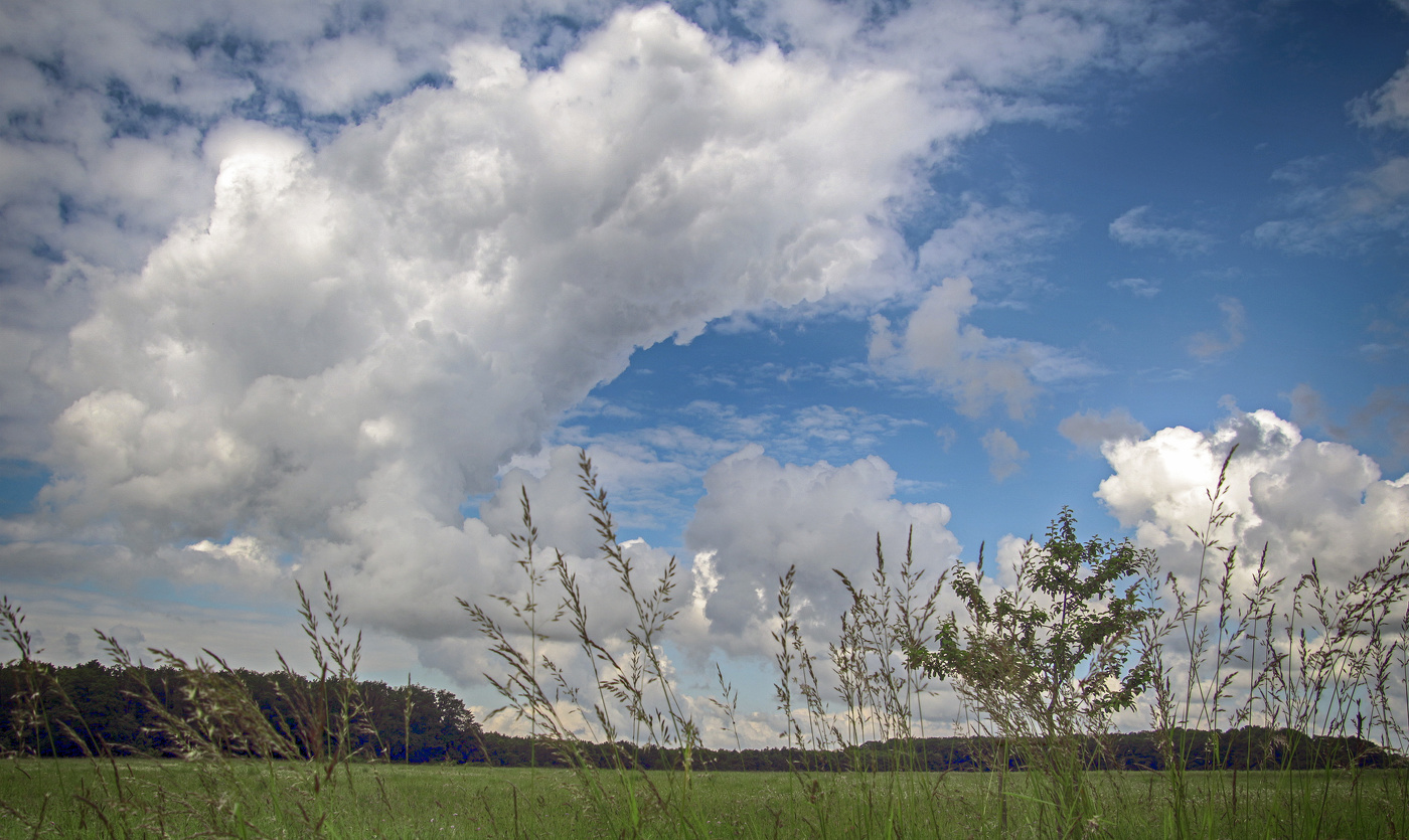 Летнее небо