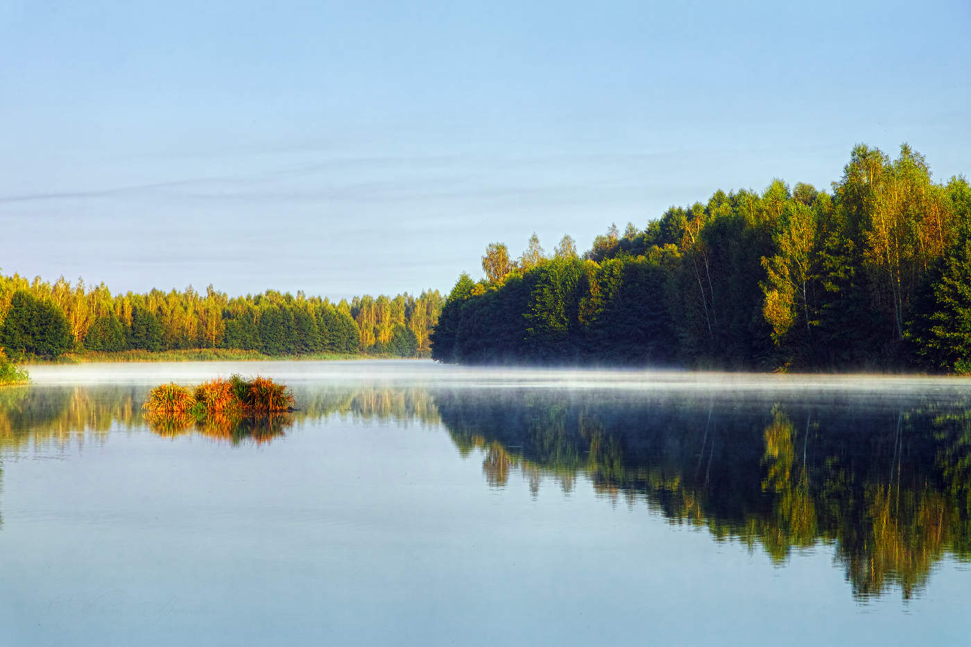 Купается в тумане...