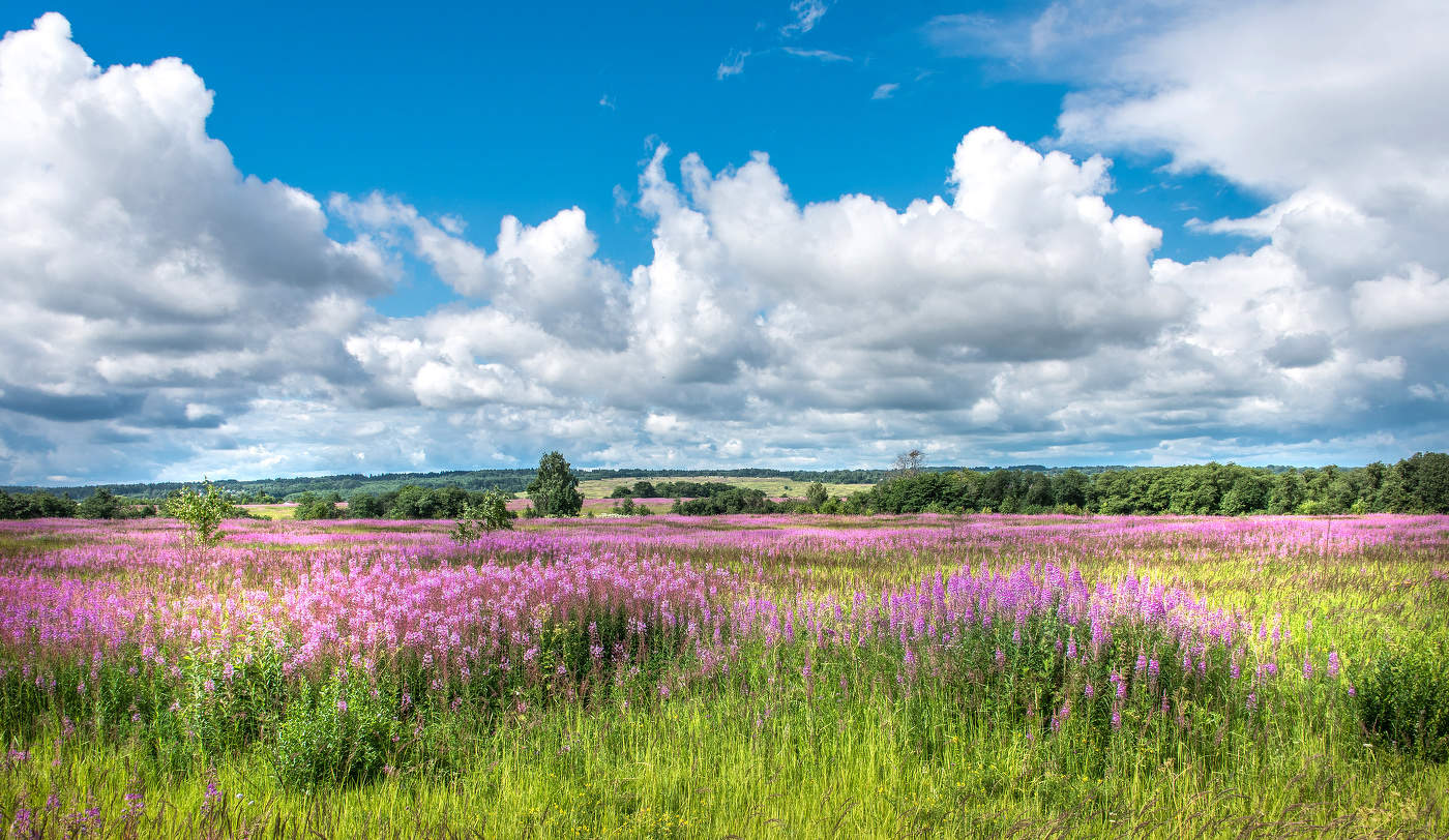 Родные просторы.